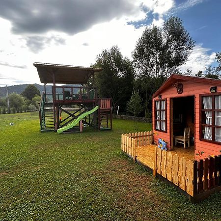 Villa Baltina Parc Transfagarasan à Curtea de Argeş Extérieur photo