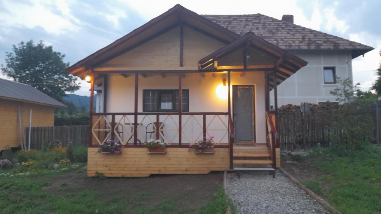 Villa Baltina Parc Transfagarasan à Curtea de Argeş Extérieur photo