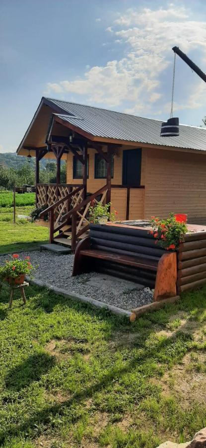 Villa Baltina Parc Transfagarasan à Curtea de Argeş Extérieur photo