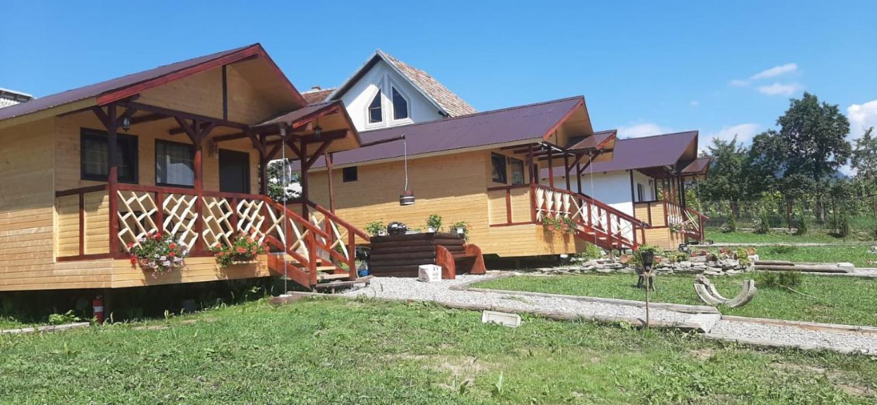 Villa Baltina Parc Transfagarasan à Curtea de Argeş Extérieur photo