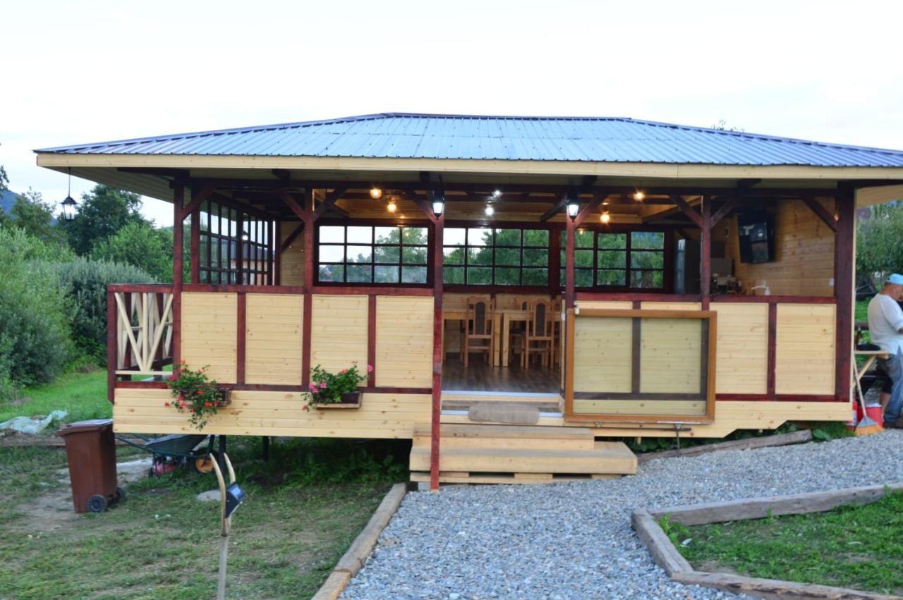 Villa Baltina Parc Transfagarasan à Curtea de Argeş Extérieur photo