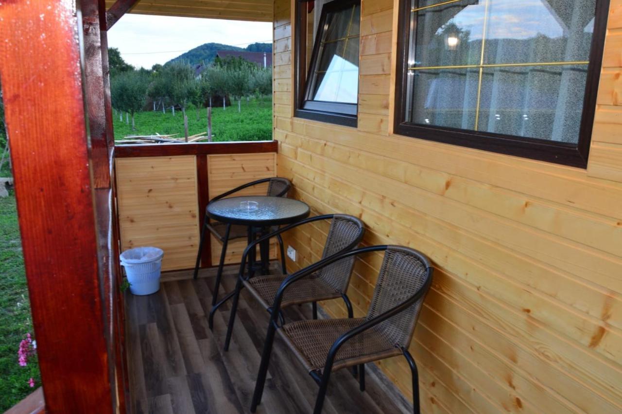 Villa Baltina Parc Transfagarasan à Curtea de Argeş Extérieur photo
