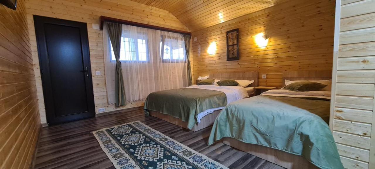 Villa Baltina Parc Transfagarasan à Curtea de Argeş Extérieur photo