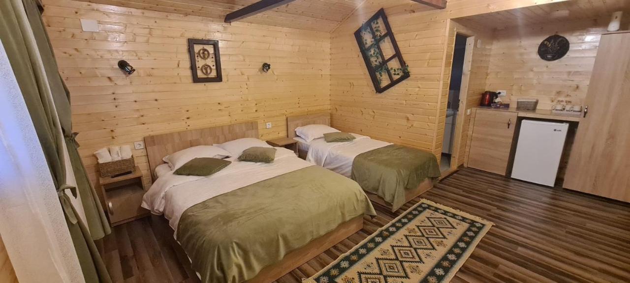 Villa Baltina Parc Transfagarasan à Curtea de Argeş Extérieur photo