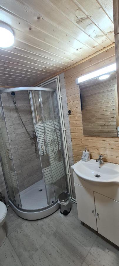 Villa Baltina Parc Transfagarasan à Curtea de Argeş Extérieur photo