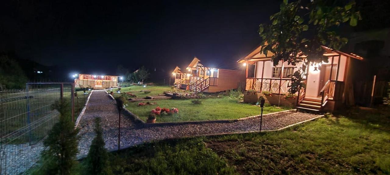 Villa Baltina Parc Transfagarasan à Curtea de Argeş Extérieur photo