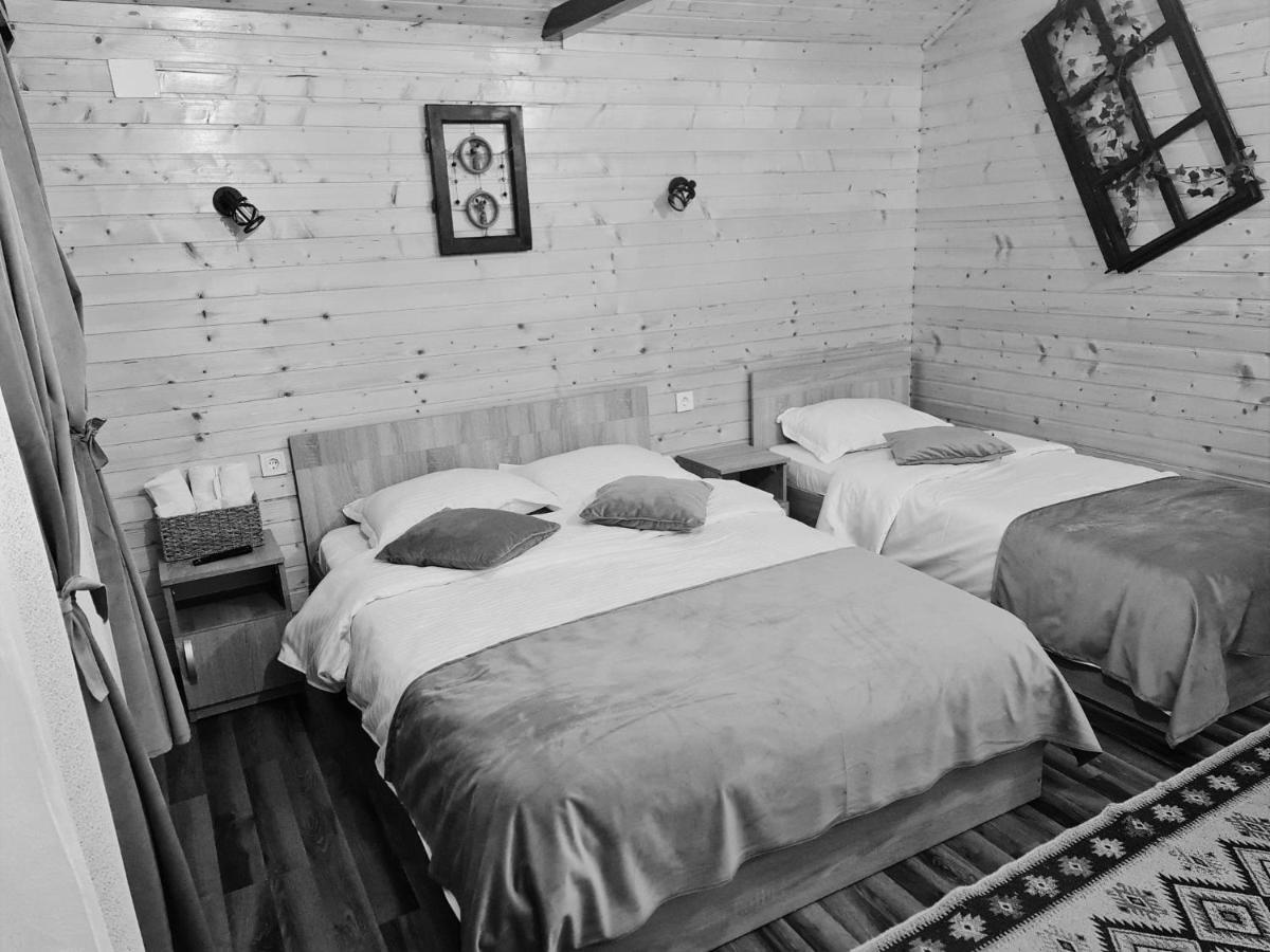 Villa Baltina Parc Transfagarasan à Curtea de Argeş Extérieur photo