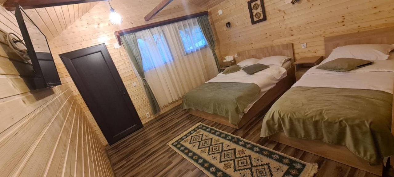 Villa Baltina Parc Transfagarasan à Curtea de Argeş Extérieur photo