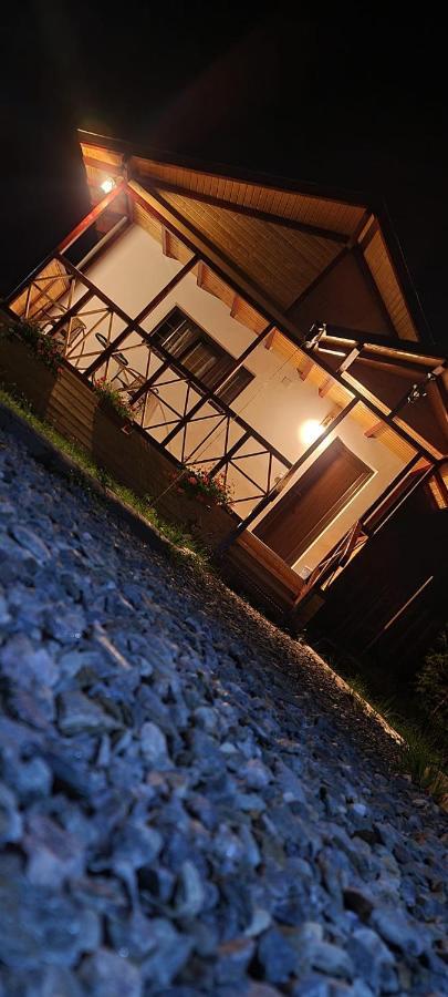 Villa Baltina Parc Transfagarasan à Curtea de Argeş Extérieur photo