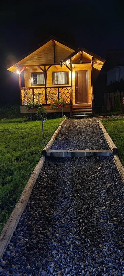 Villa Baltina Parc Transfagarasan à Curtea de Argeş Extérieur photo