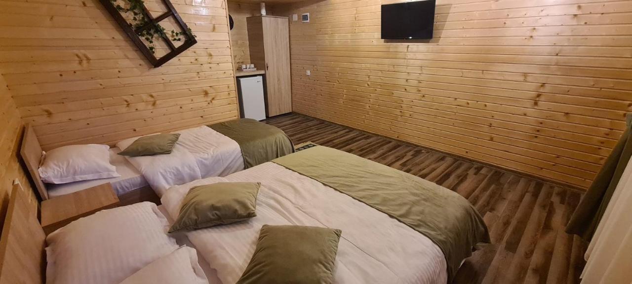 Villa Baltina Parc Transfagarasan à Curtea de Argeş Extérieur photo