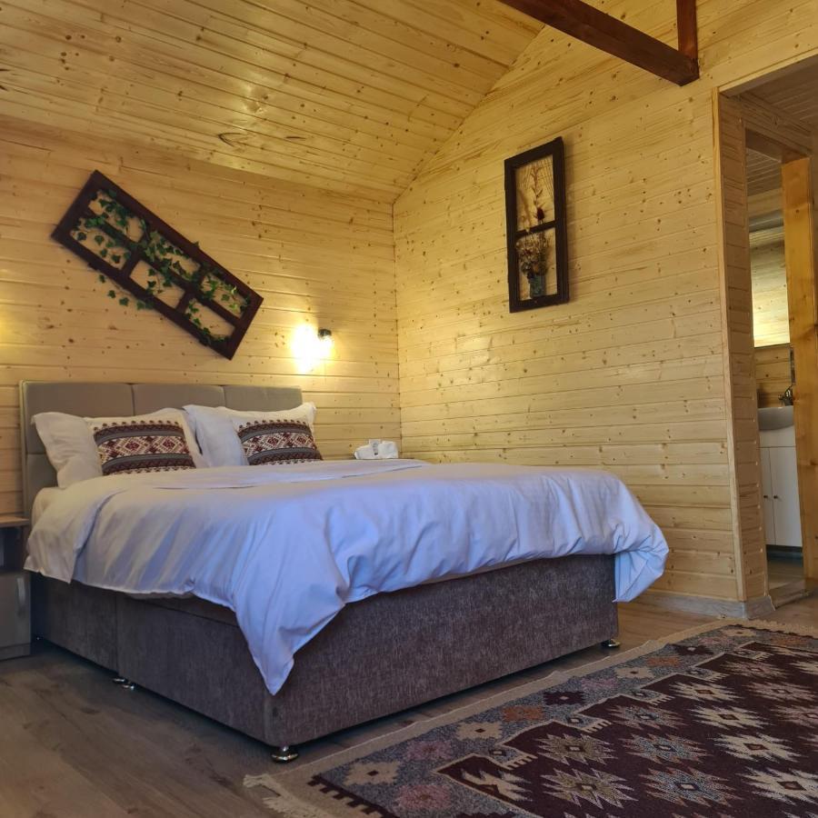 Villa Baltina Parc Transfagarasan à Curtea de Argeş Extérieur photo