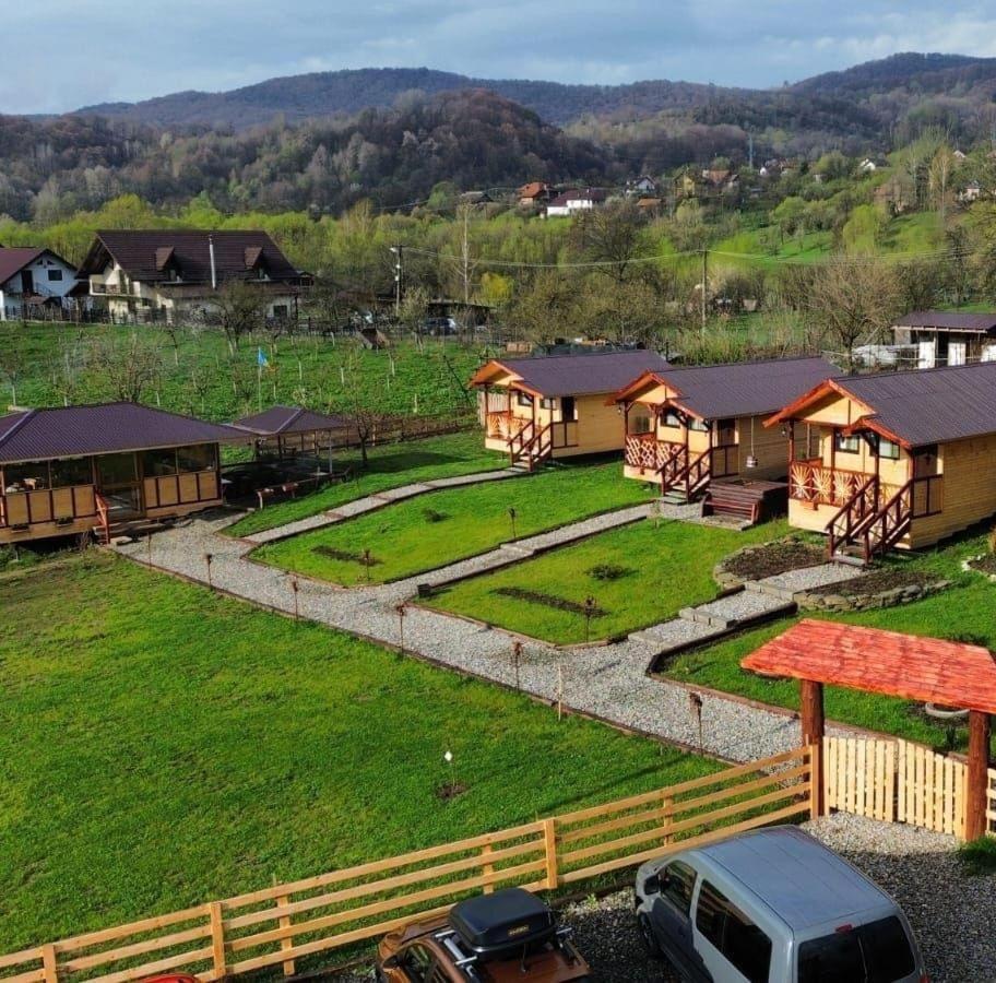 Villa Baltina Parc Transfagarasan à Curtea de Argeş Extérieur photo