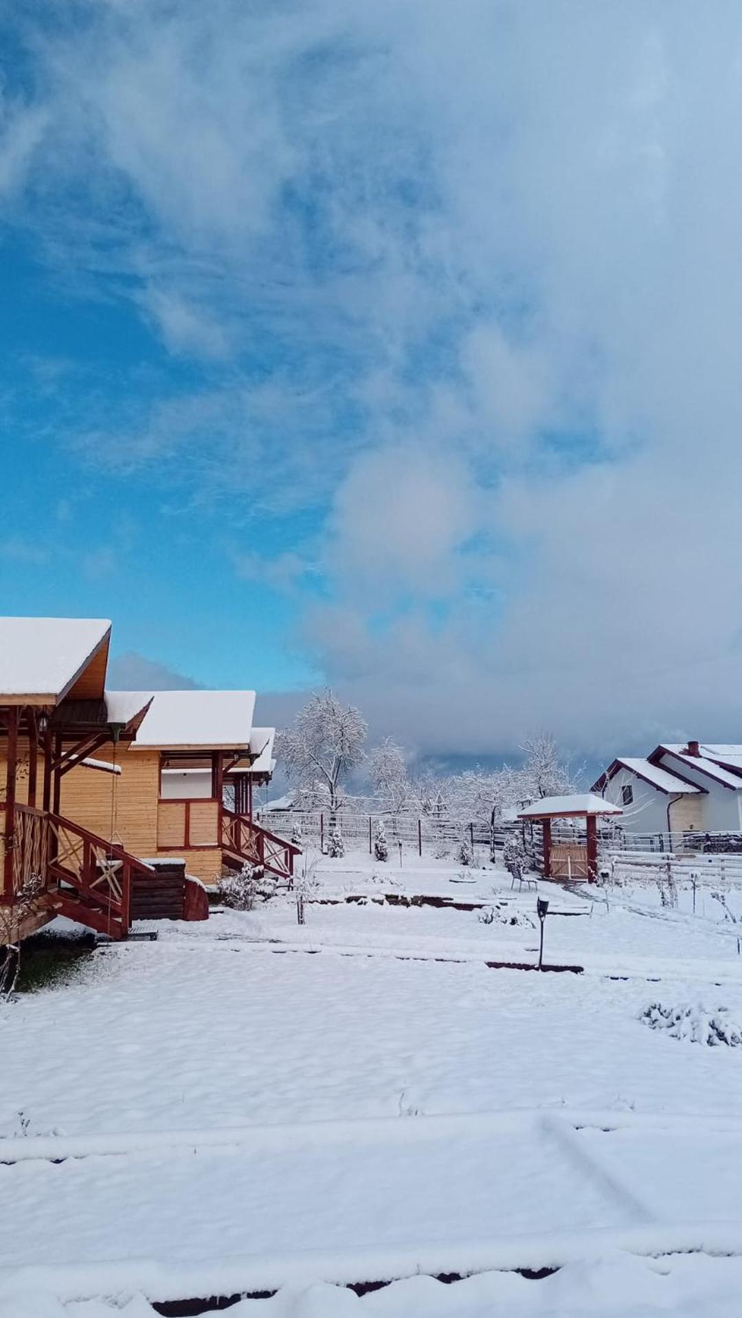 Villa Baltina Parc Transfagarasan à Curtea de Argeş Extérieur photo