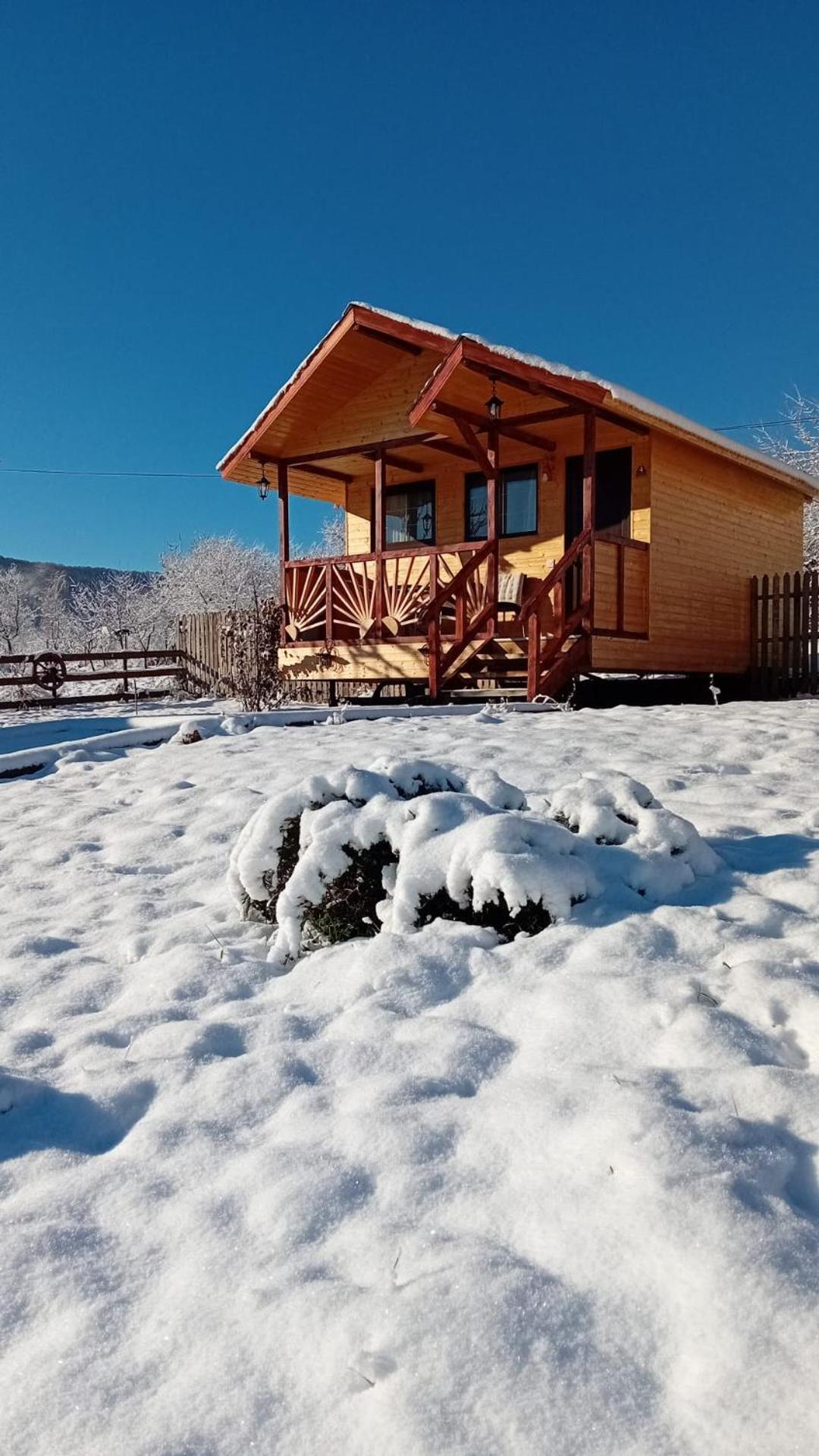 Villa Baltina Parc Transfagarasan à Curtea de Argeş Extérieur photo