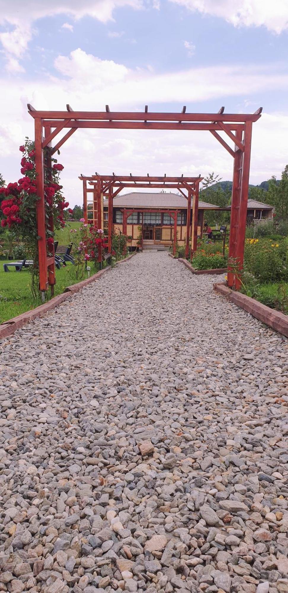 Villa Baltina Parc Transfagarasan à Curtea de Argeş Extérieur photo