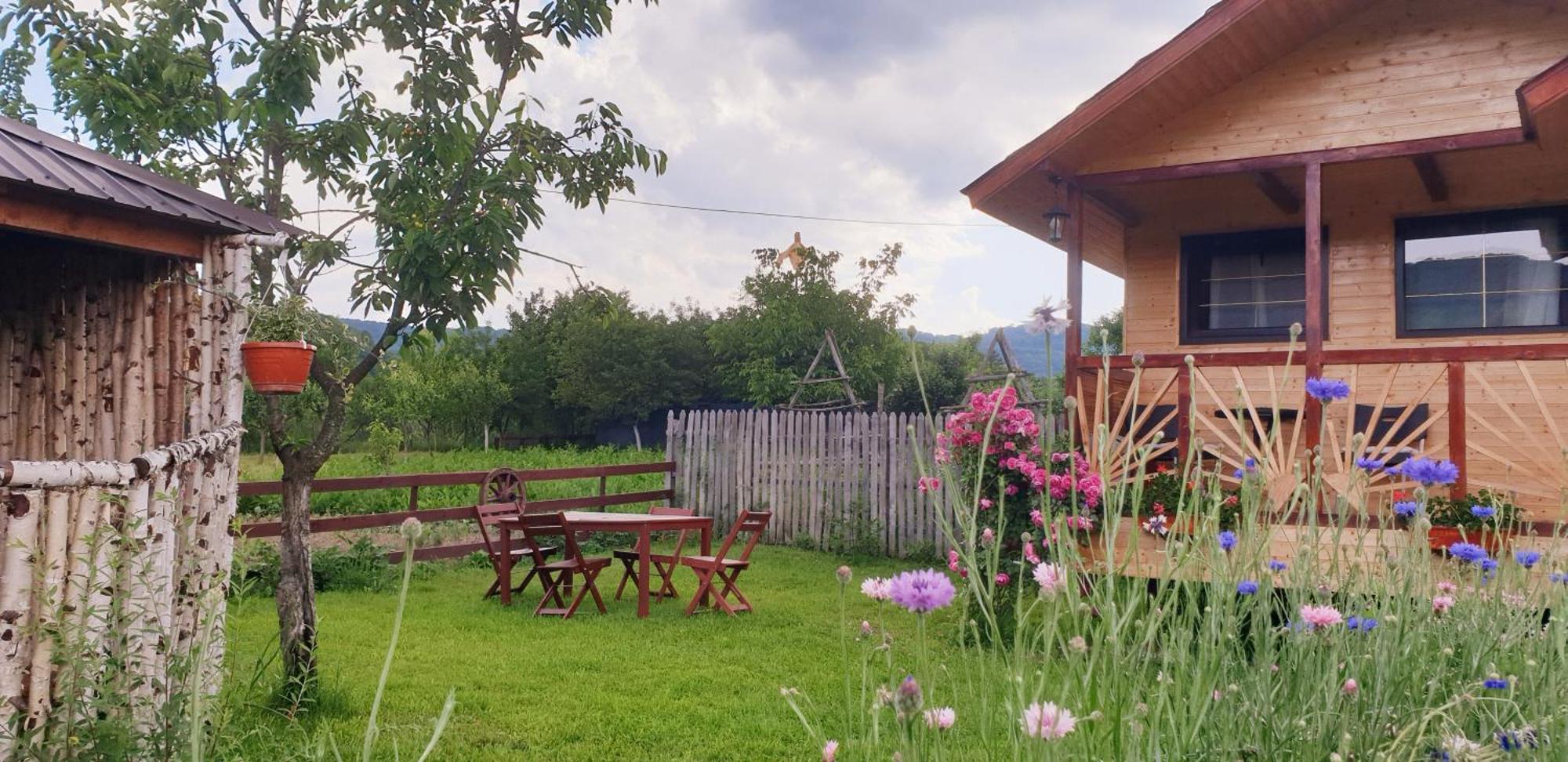 Villa Baltina Parc Transfagarasan à Curtea de Argeş Extérieur photo