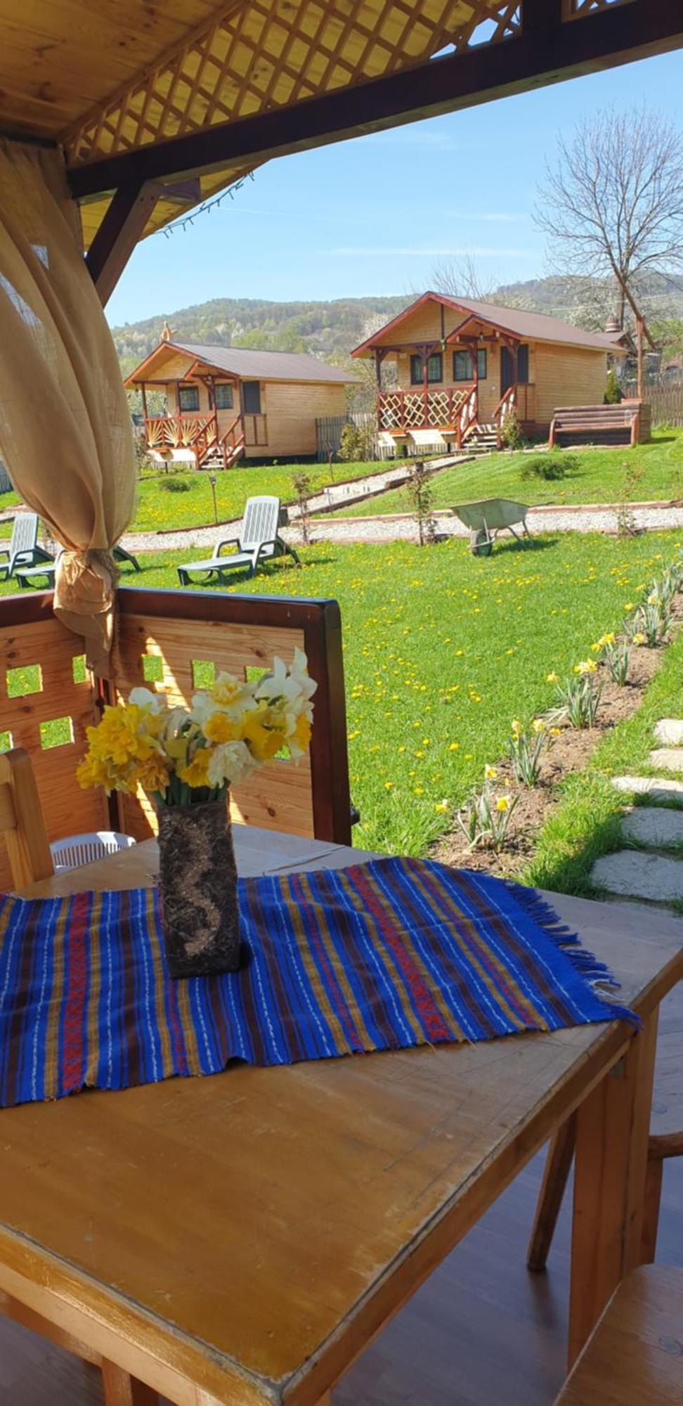 Villa Baltina Parc Transfagarasan à Curtea de Argeş Extérieur photo