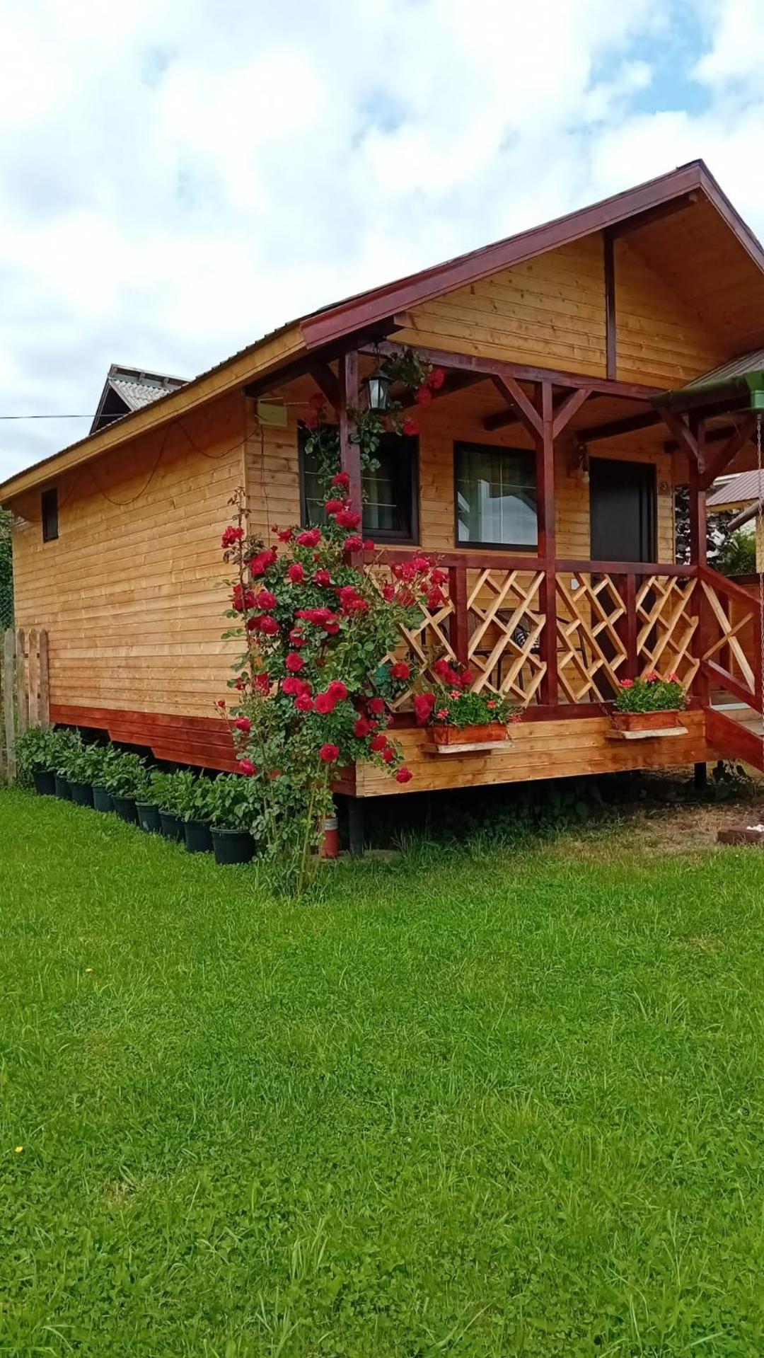 Villa Baltina Parc Transfagarasan à Curtea de Argeş Extérieur photo