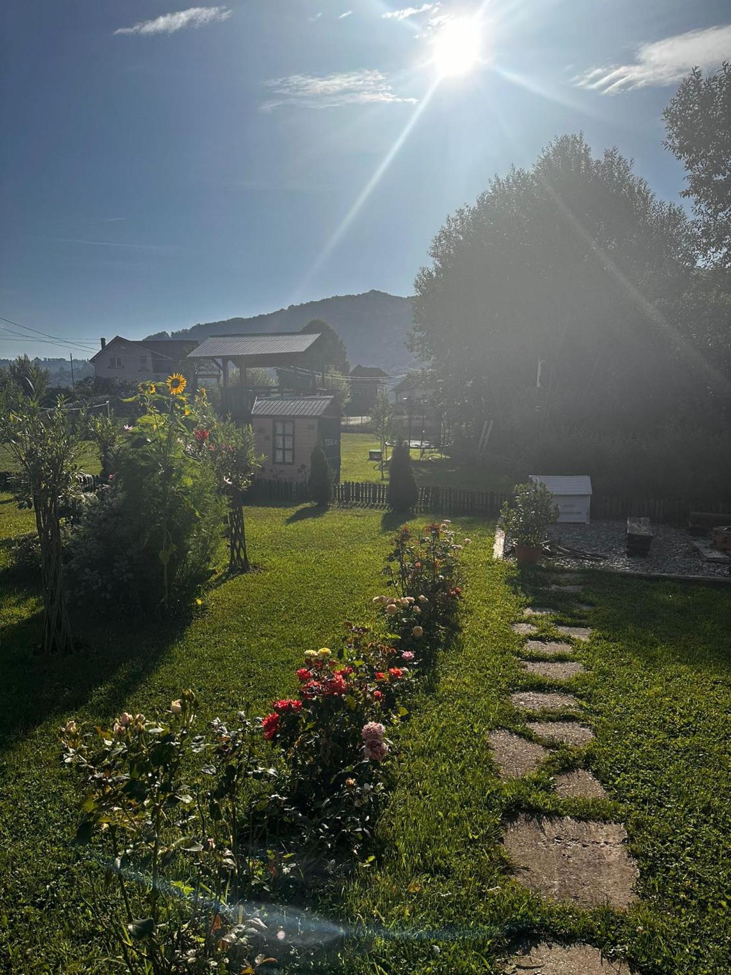 Villa Baltina Parc Transfagarasan à Curtea de Argeş Extérieur photo