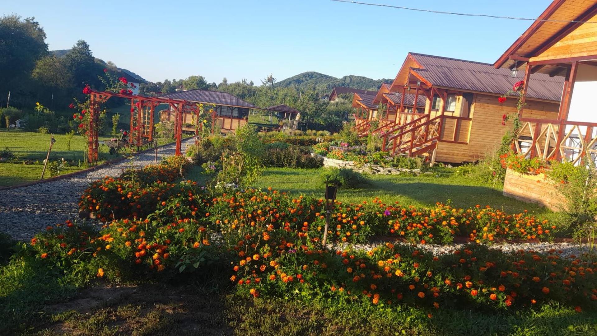 Villa Baltina Parc Transfagarasan à Curtea de Argeş Extérieur photo