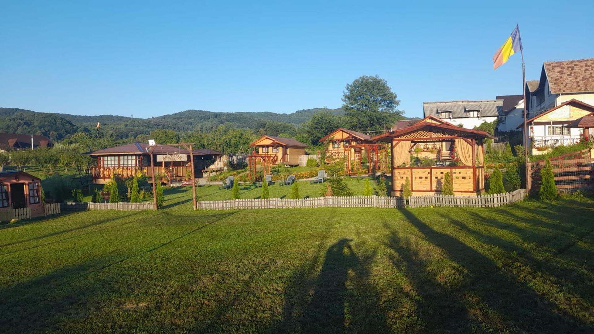 Villa Baltina Parc Transfagarasan à Curtea de Argeş Extérieur photo